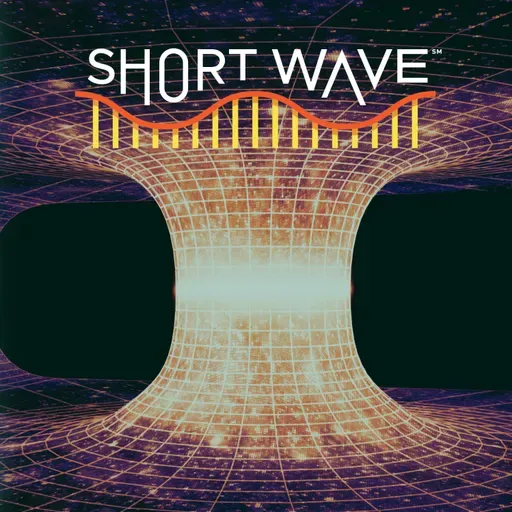 Could Wormholes Exist?