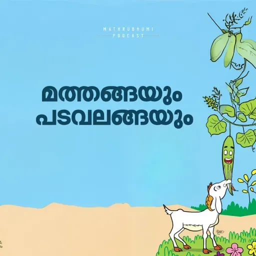 മത്തങ്ങയും പടവലങ്ങയും | മിന്നാമിന്നി കഥകൾ | Malayalam Bedtime Stories Podcast