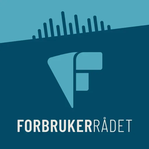 Sånn leser du strømregningen din