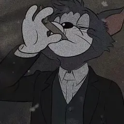 Iron Malysz Playlist