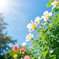 汪曾祺：淡淡的三月天