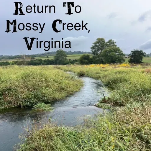 Return To Mossy Creek - Brown Trout, Terrestrials, And Hitchhikers