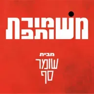 חור בלב בצורת אלוהים. משמורת משותפת 13 עם עירית לינור