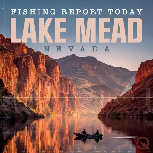 Lake Mead Fishing Report: Low Levels, Scattered Fish, Persistence Pays Off