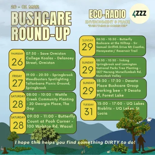 Dr Claire Gronow LtG - Gurridyula