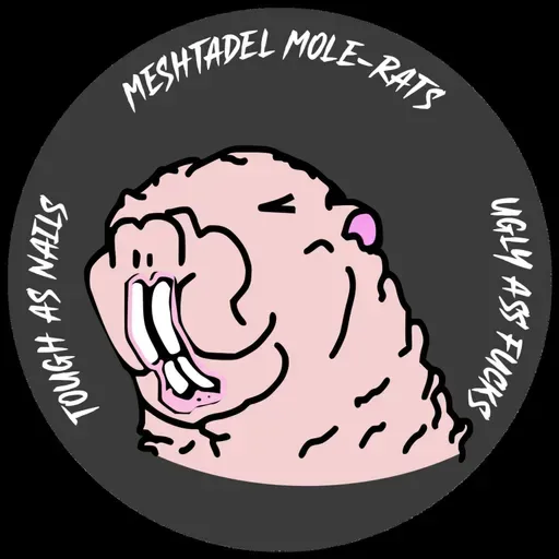 FF2: Fundamentals of Blockspace Markets