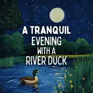 A Tranquil Evening with a River Duck