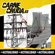Eléctricas: fuiste tú el culpable o lo fui yo (CARNE CRUDA #1507) 