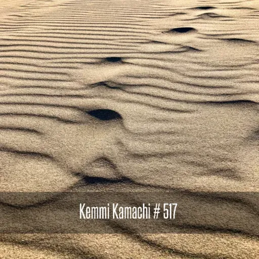 Kemmi Kamachi # 517