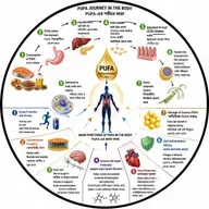 EP- 267|PUFA Explained: What Happens Inside Your Body After Every Bite? | PUFA খাওয়ার পর শরীরে কী ঘটে?| wellness podcast
