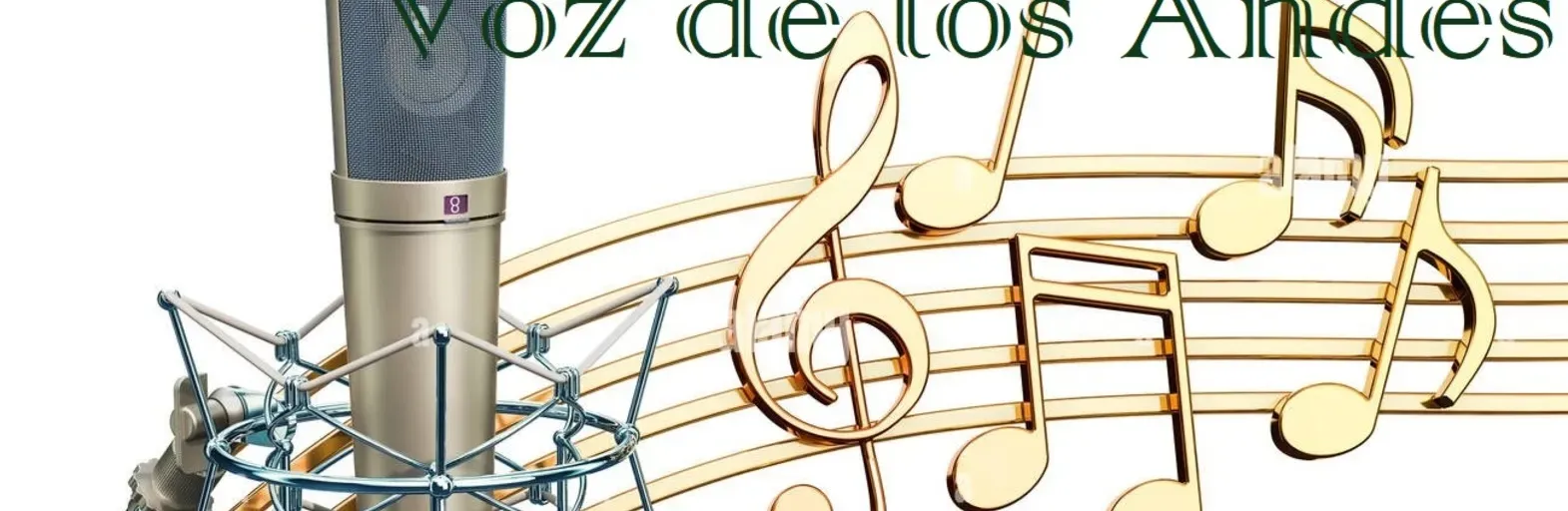 Voz de los Andes
