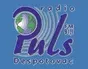 Puls Despotovac