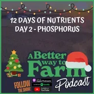 12 Days of Nutrients - Day 2: Phosphorus