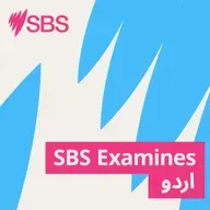As women linked to ISIS return, how does Countering Violent Extremism (CVE) work in Australia? - ISIS سے منسلک خواتین کی واپسی، آسٹریلیا میں کاؤنٹرنگ وائلنٹ ایکسٹریمزم (CVE) کیسے کام کرتی ہے؟