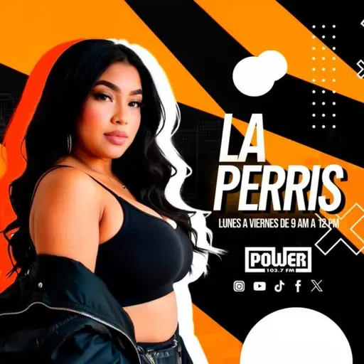 Explicacion Ley Mordaza Que Propone Bolivar Valera Para Callar Youtubers