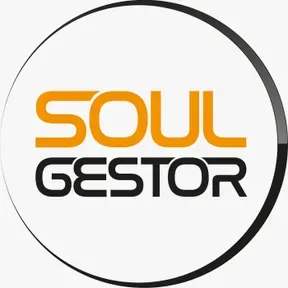 Soul Gestor - Empreendedorismo com Leandro Martins