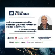 Del campo a la mesa: desafíos y apuestas para una avicultura sostenible