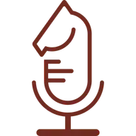 User-Centricity: System 1, System 2 und warum Angst das Gehirn brickt