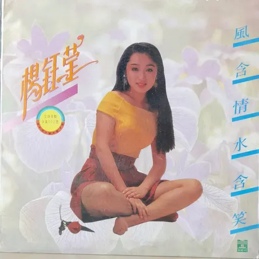 杨钰莹 风含情水含笑(1992)第三张甜歌专辑销量破百万