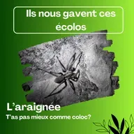 Ils nous gavent ces écolos! L'araignée, t'as pas mieux comme coloc?