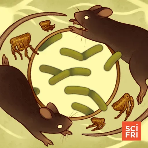 Why Is Bubonic Plague Still With Us?