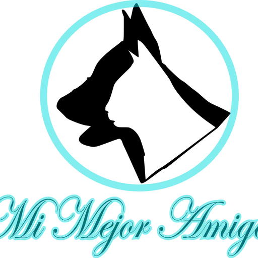 Segundo programa de radio online