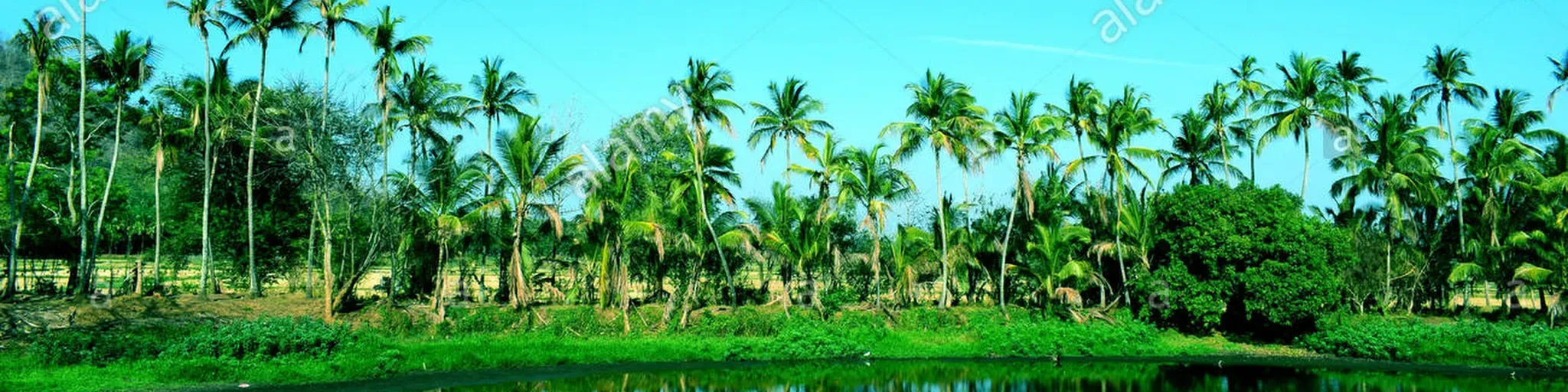 MALAYALAM MELODY