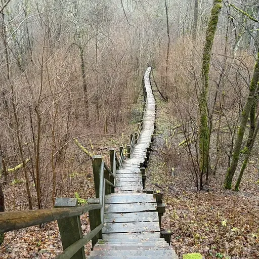 Garajās brīvdienas ir vērts laiku atvēlēt arī pastaigām dabā