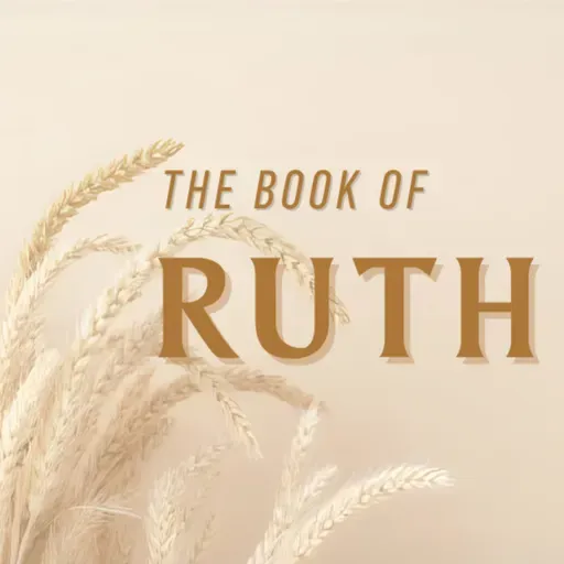 Provision and Protection