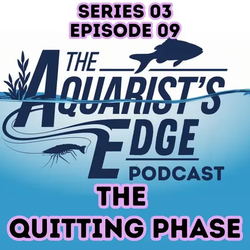 The Phase Where Most Aquarists Quit