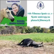 #181 Filmowe konie cz. 1 – Konie umierają na planach filmowych