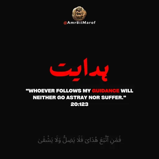Love of Anything More Than the Love of Allah ☝️