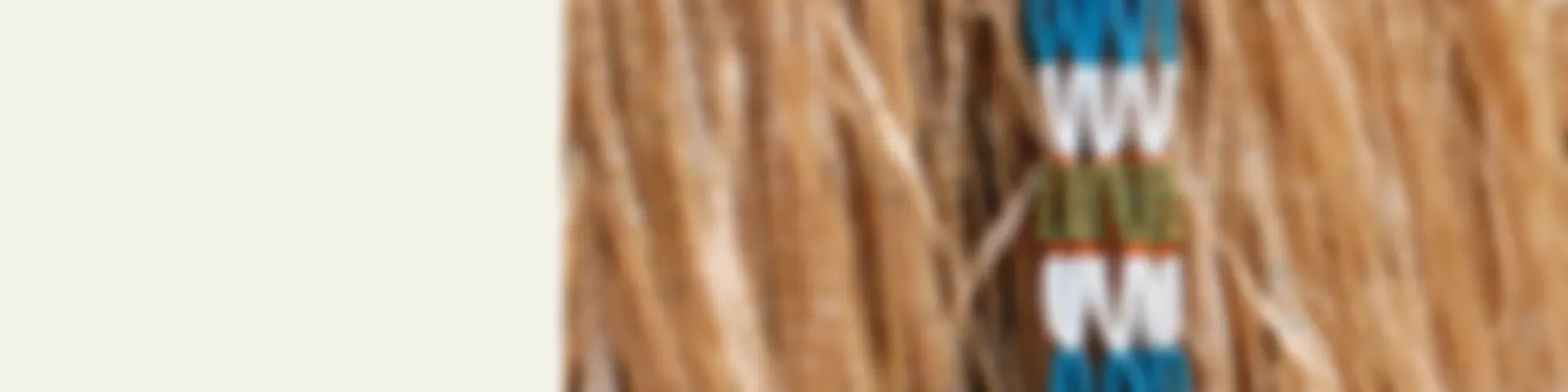 SBS Dinka - SBS Dinka