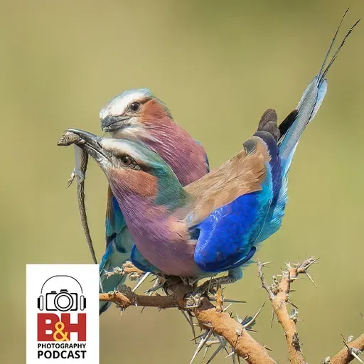 The Ethics of Wildlife Photography with Melissa Groo & Bobby Stormer