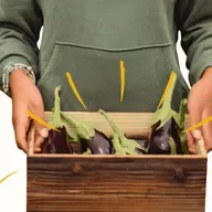 "How Am I Going to Feed My Family?"