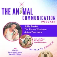 The Story of NicaLove