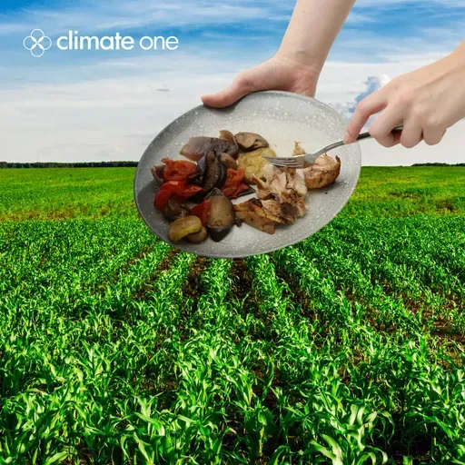 Trash Talk: Fresh Takes on Food Waste