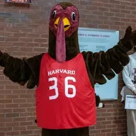 Why Harvard is fighting back