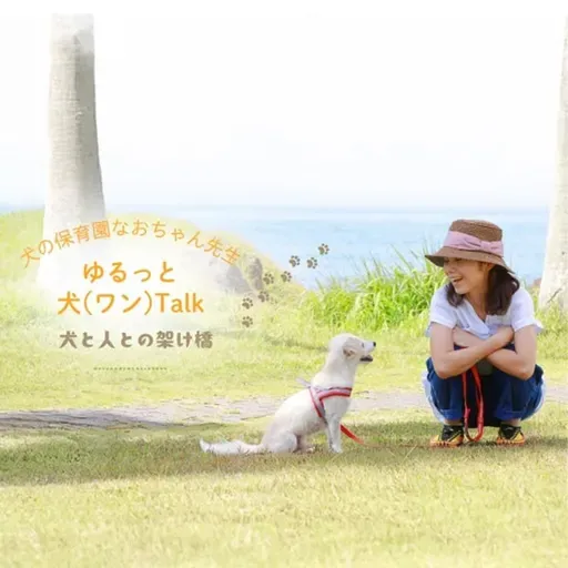奈良公園の鹿が【苦手なもの】🦌💦は⁉️＆まみさんありがとう💛