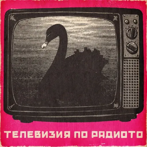 Черен лебед