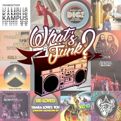 What’s Funk? 6.02.206 - Dig!