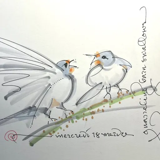 #98-December 26, 2025; I live  in a country