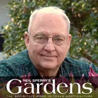 May 31, 2026 - 8AM WBAP