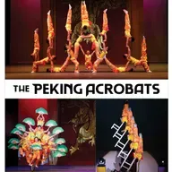 聊聊我周三看的杂技表演｜The Peking Acrobats Show