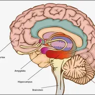 Mind Your Own Business