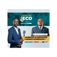 CAMEROUN : EL DORADO DES PAIEMENTS NUMÉRIQUES ?