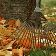 Vēlā rudens dārza darbi: laiks ir silts un zāle vēl jāpļauj