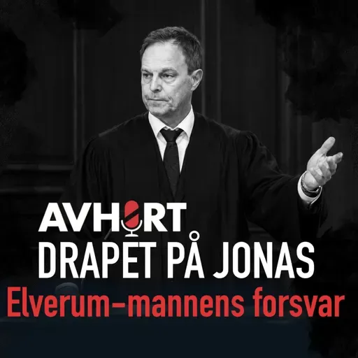 Drapet på Jonas: Elverum-mannens forsvar