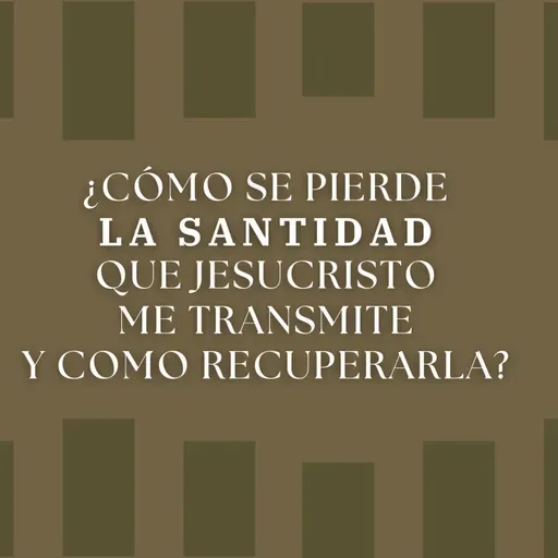 #447- 🇪🇸 ¿Cómo Se Pierde La Santidad Que Jesucristo Me Transmite Y Como Recuperarla? | David Henao #CCILondon