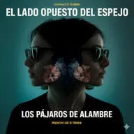 LOS PÁJAROS DE ALAMBRE ABREN LA HERIDA CON "EL LADO OPUESTO DEL ESPEJO": UN ACTO DE RENDICIÓN.